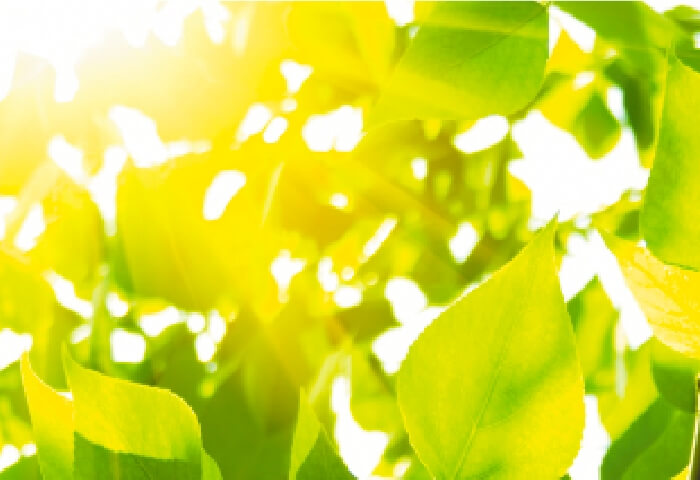 ��C���L���C��