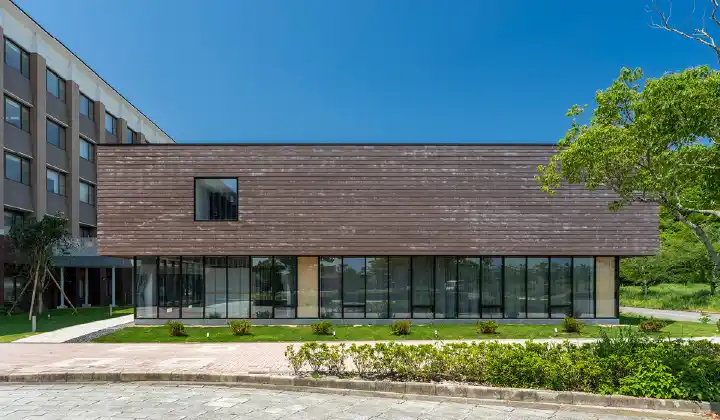 �����كA�W�A�����m��w ���w���i�啪���j