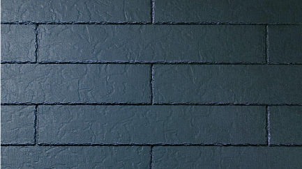 ���C�V���X�O���b�T