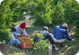 �Ⴊ���Ҍٗp�x��