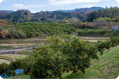 �x�k�n�����p