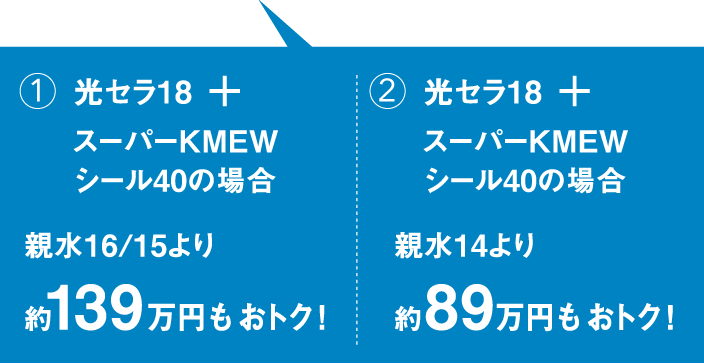 ���f���P�[�X