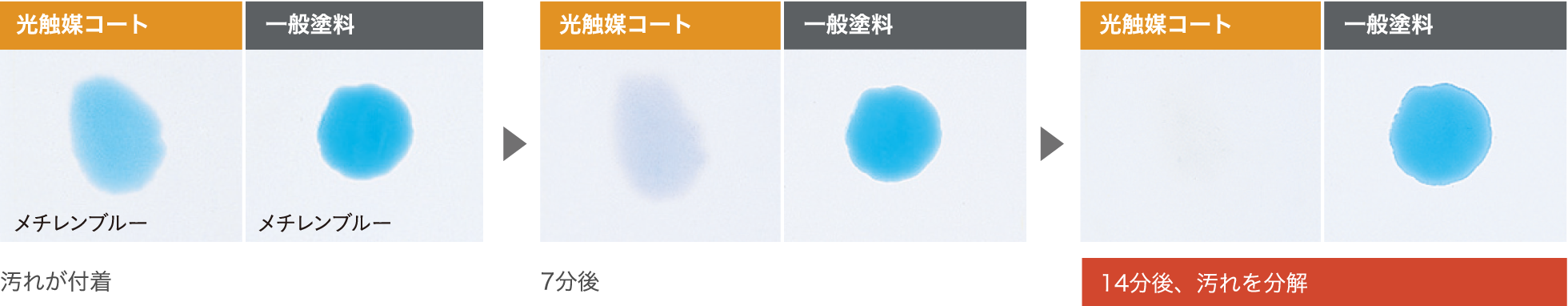 �摜�F���G�}�R�[�g��14����ɉ���𕪉�����o�߂̊T�O�}