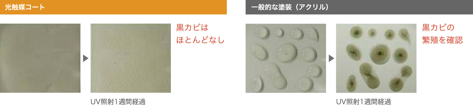 �摜�F���G�}�R�[�g��UV�Ǝ�1�T�Ԍo�߂ō��J�r���قƂ�ǂȂ��Ȃ�ʐ^