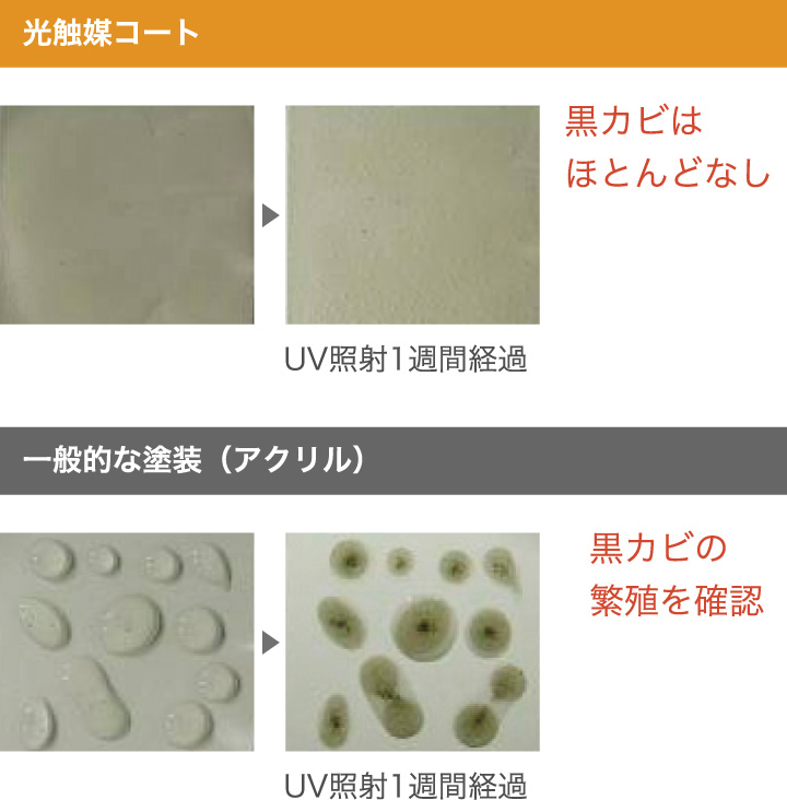 �摜�F���G�}�R�[�g��UV�Ǝ�1�T�Ԍo�߂ō��J�r���قƂ�ǂȂ��Ȃ�ʐ^