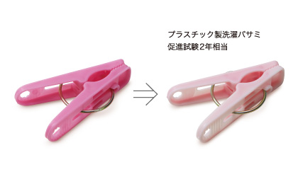 �摜�F�v���X�`�b�N������o�T�~���i����2�N����