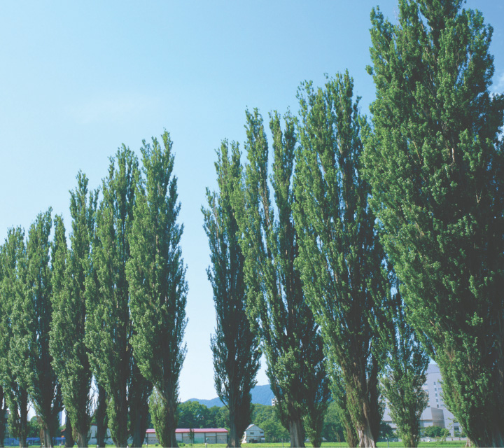 �摜�F�|�v�����؂̃C���[�W