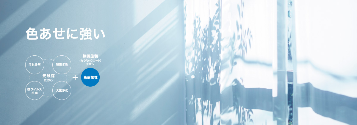 �F�����ɋ���