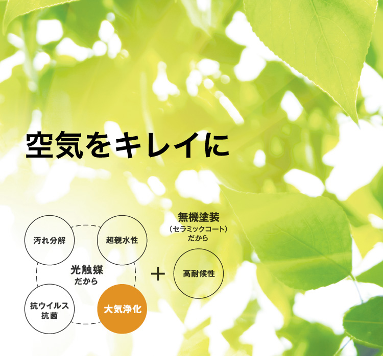 ��C���L���C��