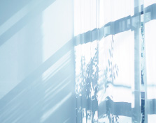 �F�����ɋ���