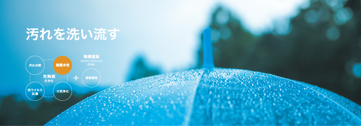 �����􂢗���