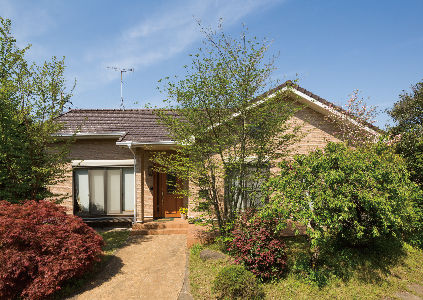 ��11�N�o�߁i2017�N�B�e�j