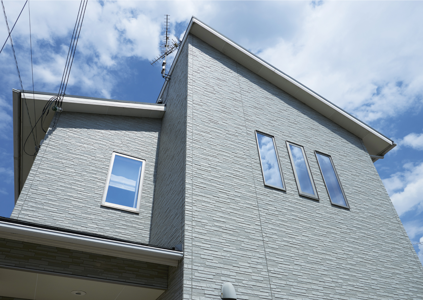 ��12�N�o�߁i2017�N�B�e�j