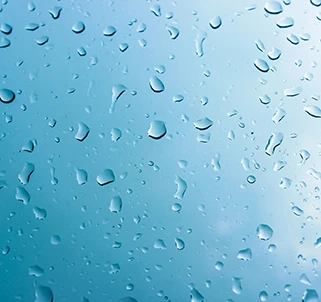 �����􂢗���